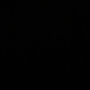 Meet your Posher, Deon